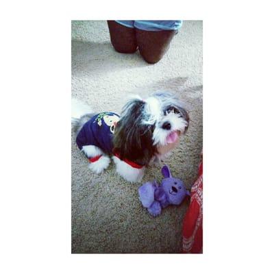 Malibu at 10 months in her new jammies.
