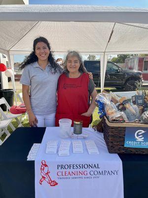 Professional Cleaning