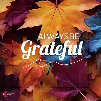 Bob Sawyer - RE/MAX GOLD