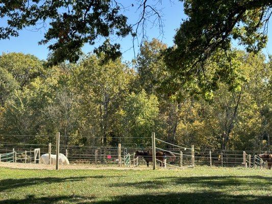 Grand Paradise Ranch