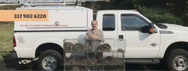 Admiral Wildlife Services