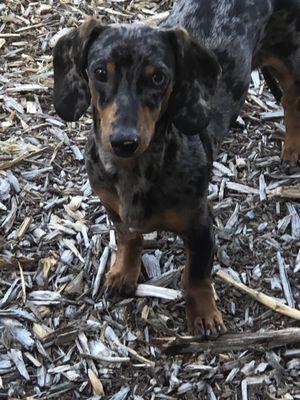 Valencia Animal Clinic