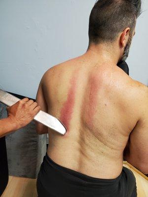 Quantum Regeneration Bodywork