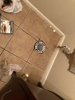 Steven White Handyman