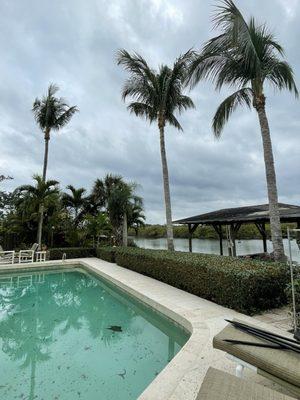 Lopez Landscaping & Tree Service