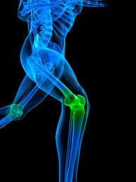 Susquehanna Orthopedic Associates