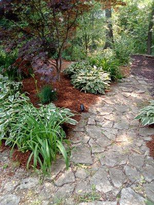 Dreamscaping Yard Maintenace & Drainage