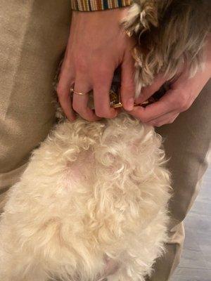 River Road Veterinary Clinic