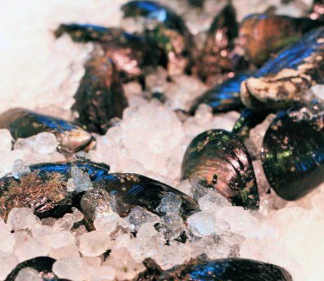 Chatham Fish & Lobster