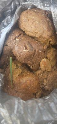 Anne Arundel Veterinary Hospital