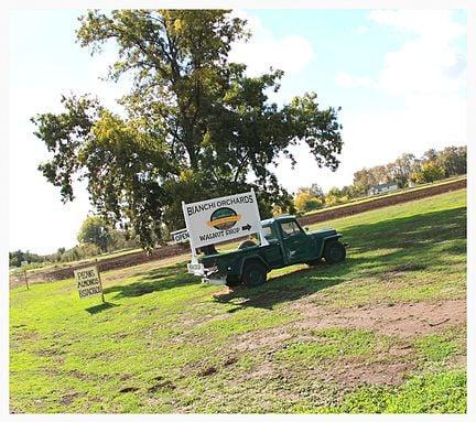 Bianchi Orchards Winery