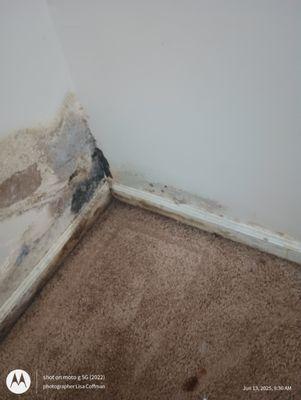 Stoner Creek Apartments