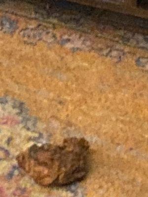 Chicken I had for dinner tonight