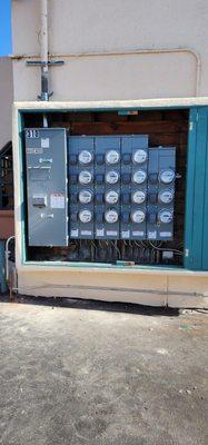 Pristine Power Electric