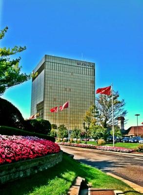 Our office is located in West Port Plaza...right above Starbucks in suite 600.