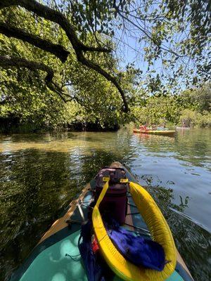 Black Miners Bar Recreation Area