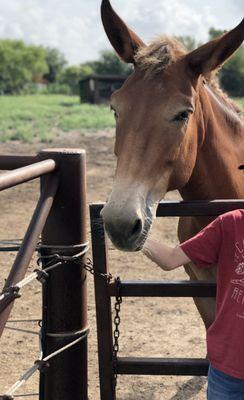 Fort Sam Houston Equestrian Center