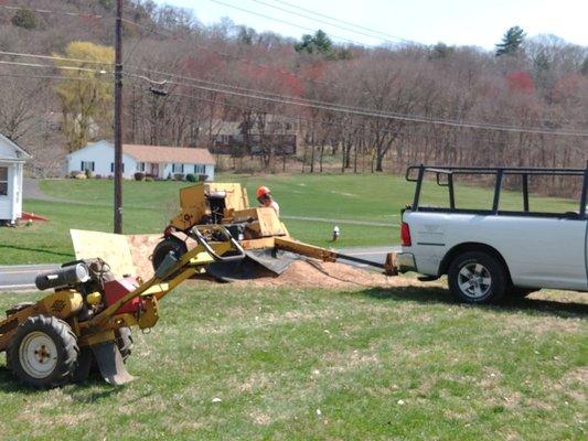 Hawkins Stump Grinding