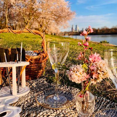 Earth & Air PopUp Picnics