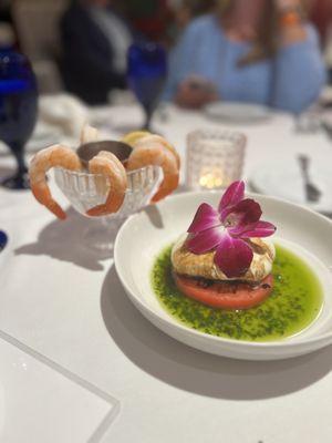 Shrimp Cocktail and Burrata