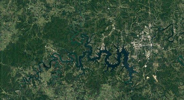 LakeView Insurance Group