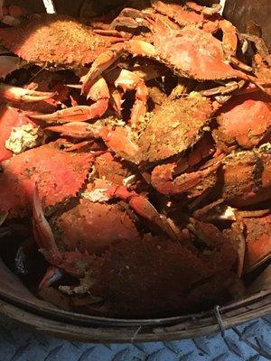 Coco Mango Island Grille