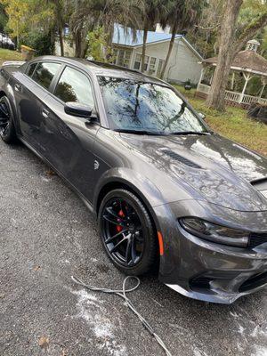 Hell cat we love you