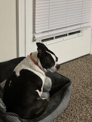 Lancaster Veterinary Clinic