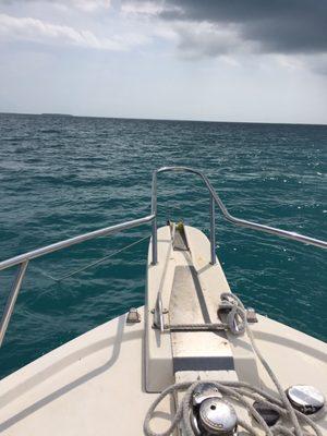 Pirate Kings Charter Service