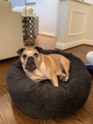 Noah's Ark Pet Supply