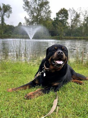 Richfield Area Pet Clinic