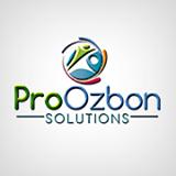 Pro Ozbon Web Solutions