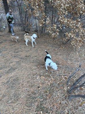 Moab Veterinary Clinic LLC