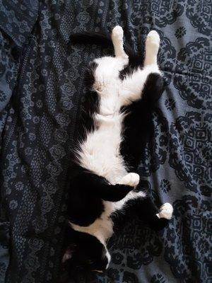 Her kingdom is locked down