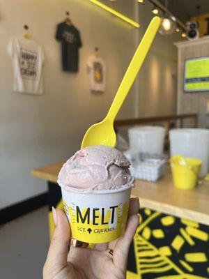 Melt Ice Creams