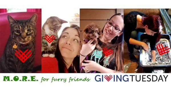 MORE For Furry Friends
