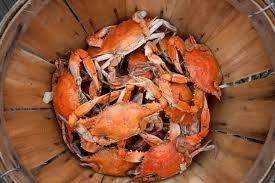 Eastern Shore Life