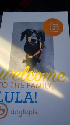 Dogtopia - Greensburg