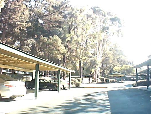 One Ten Remington Apartments