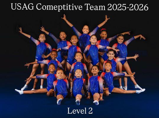 American Flips Kids Gymnastics