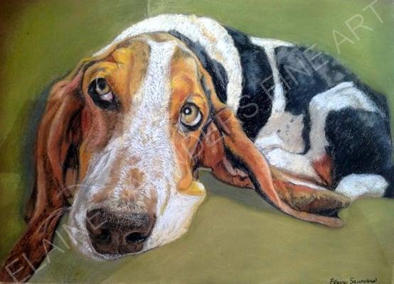 Basset Hound 14 x 18 inches