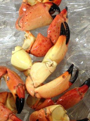 Stone Crab Claws from Florida.  When in Season