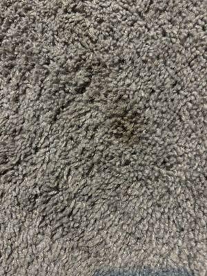 Oxi Fresh Carpet Cleaning