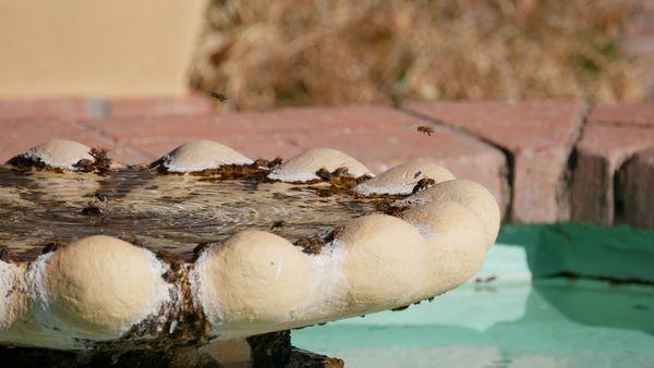 Tumacacori National Historical Park