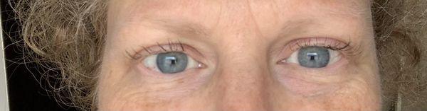 2 days after my first FULL eyelash extensiion appointment with MASTER AND TRAINER (thought I'd picked the BEST?)