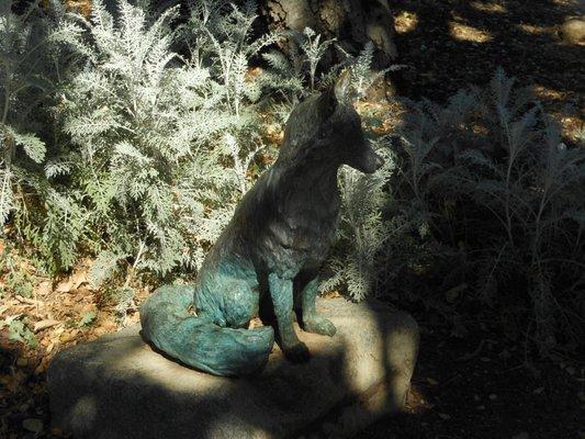 California Grey Fox statue