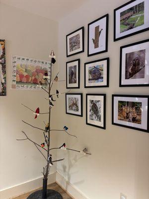 Walker Nature Center