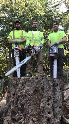 Corvallis Rental Inc