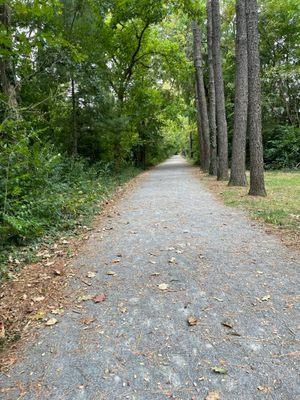 Beginning of the trail