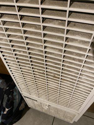 Arrowhead Tree Top Lodge